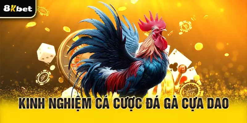 Kinh nghiệm chơi đá gà cựa dao