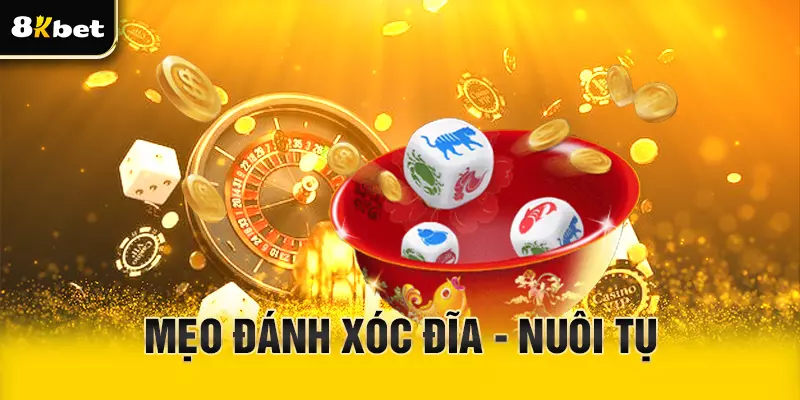 Mẹo đánh xóc đĩa nuôi tụ