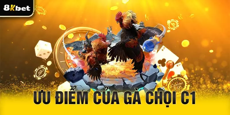 Ưu điểm của đá gà chọi C1