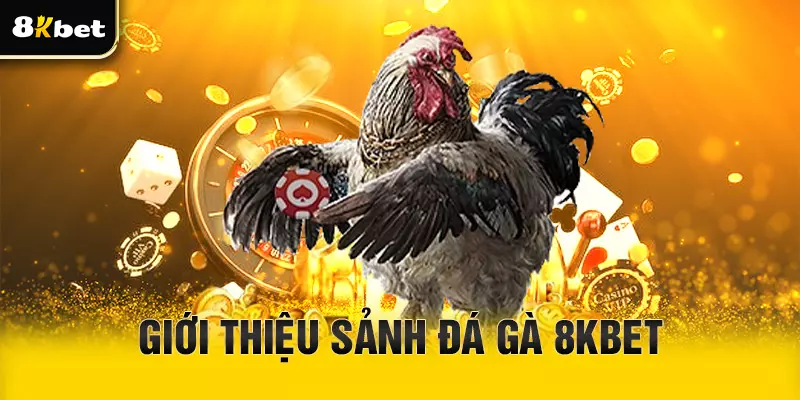 Giới thiệu chuyên mục đá gà tại 8Kbet